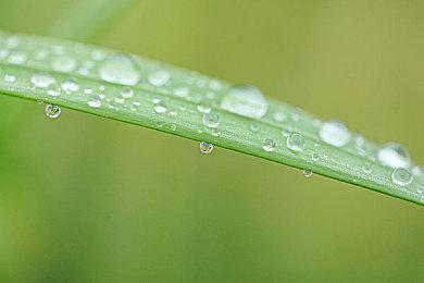 《守望先锋2》第10赛季或将延期推出 4月16日上线